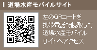 ���ꐅ�Y���o�C���T�C�gQR�R�[�h